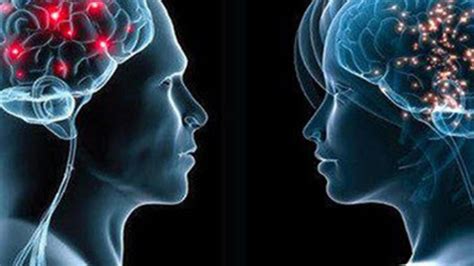 kadın ve erkek beyni arasındaki bilimsel farklar